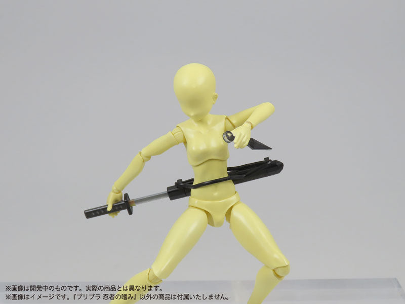 SPECIAL ORDER DIG - Pripra - Ninja no Tashinami 1/12 [JP]