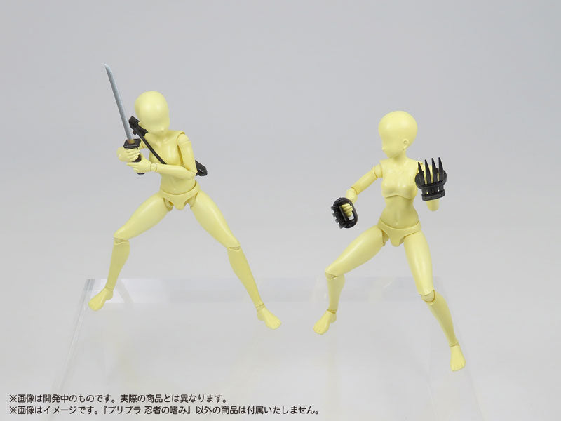 SPECIAL ORDER DIG - Pripra - Ninja no Tashinami 1/12 [JP]
