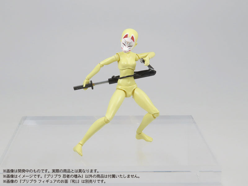 SPECIAL ORDER DIG - Pripra - Ninja no Tashinami 1/12 [JP]