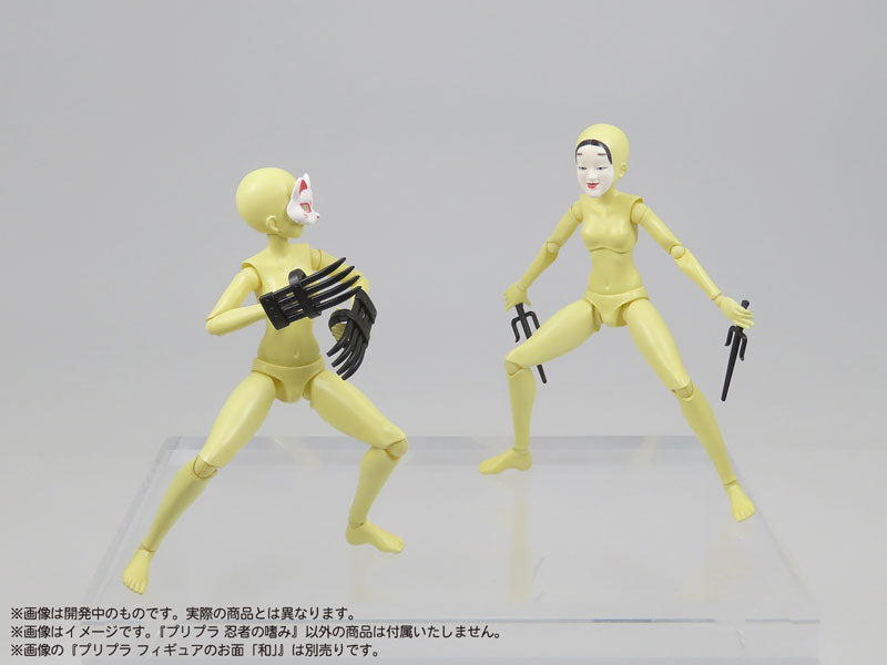 SPECIAL ORDER DIG - Pripra - Ninja no Tashinami 1/12 [JP]