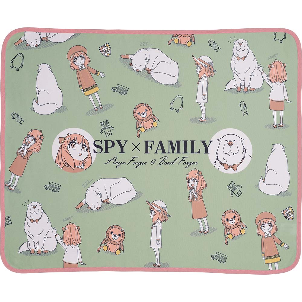 IN-STOCK Bandai Spirits - Ichiban Kuji - SPY x FAMILY Embark on a Mission