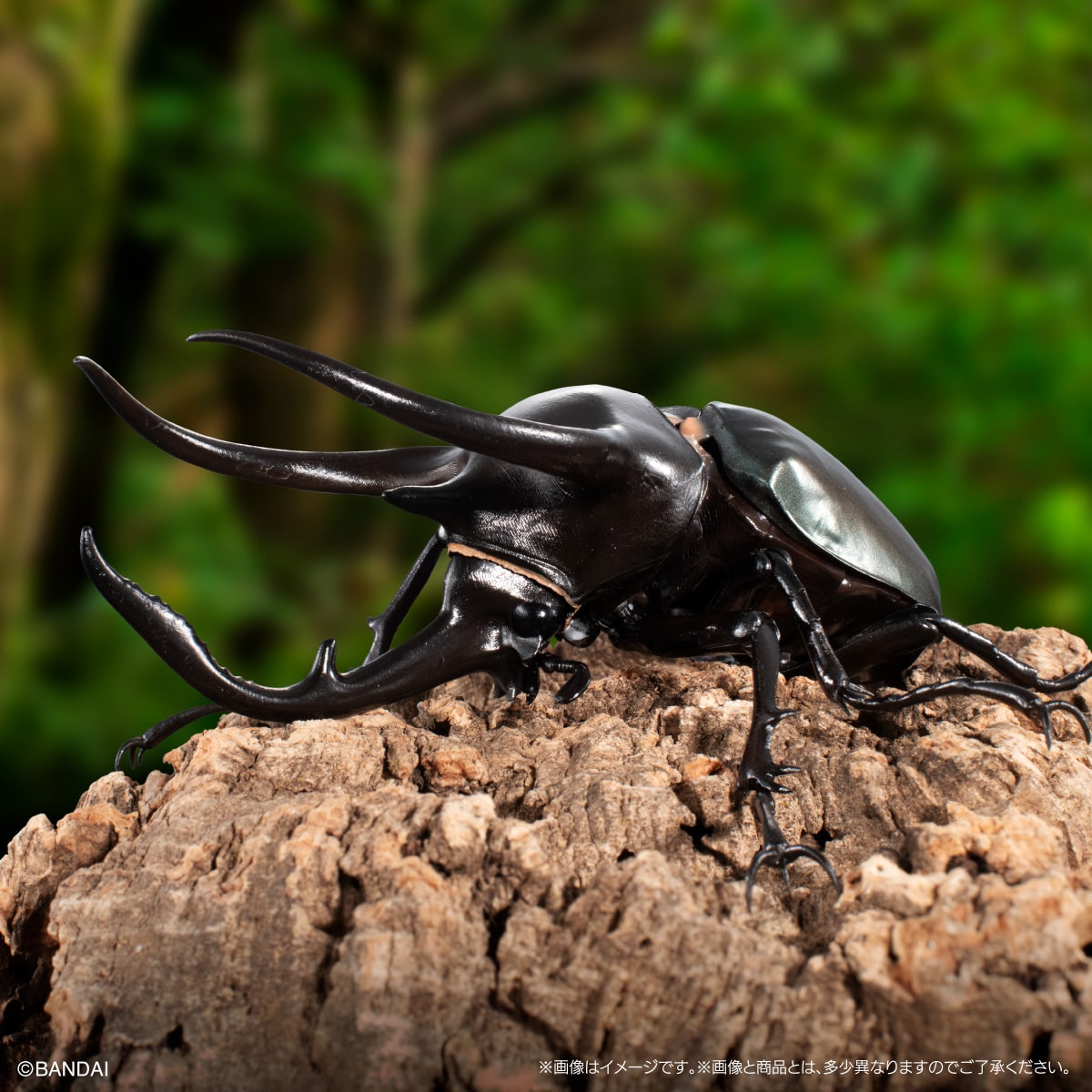 IN-STOCK Bandai - The Diversity of Life on Earth - Caucasus Beetle Display Stand Set [Set of 3] [EXCLUSIVE]