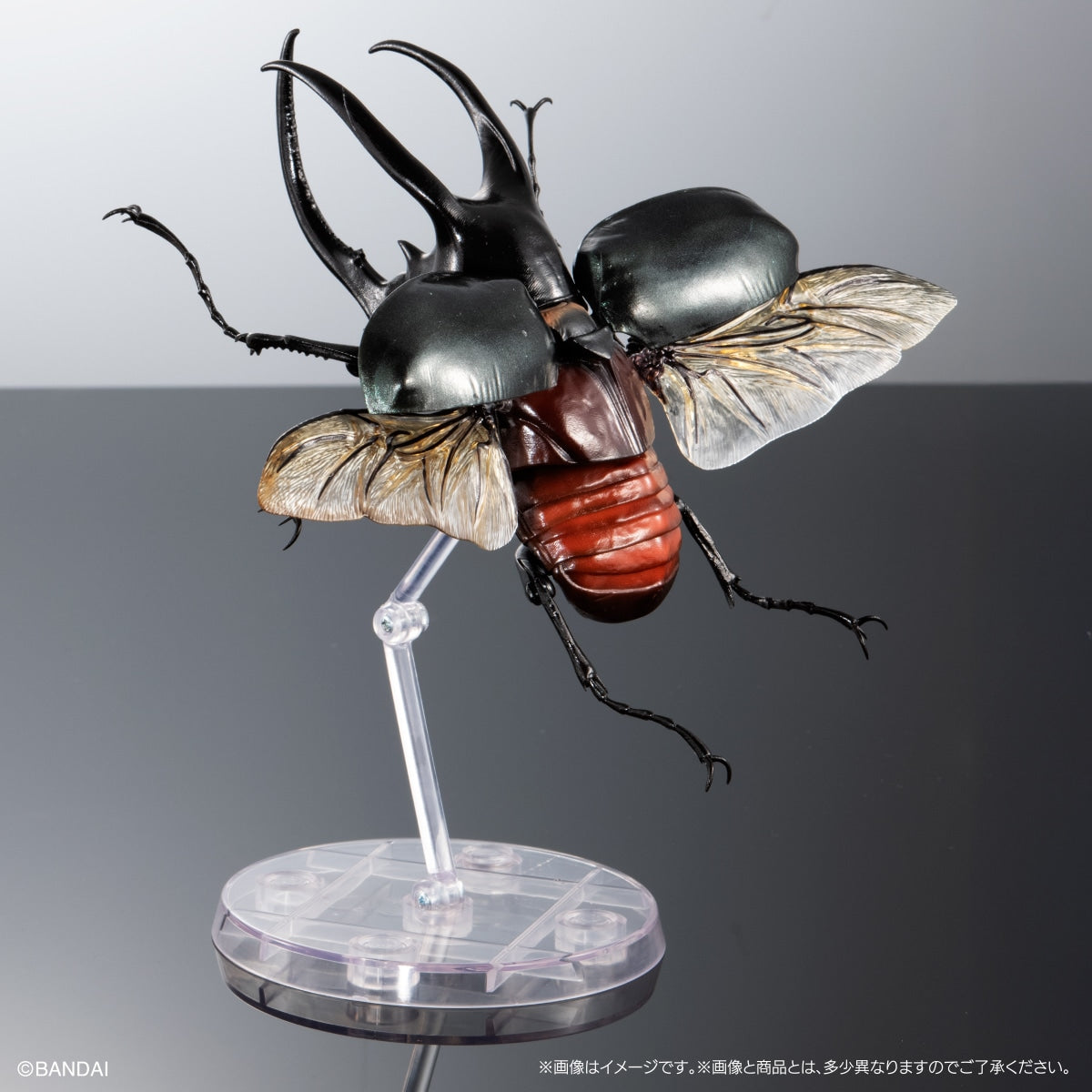 IN-STOCK Bandai - The Diversity of Life on Earth - Caucasus Beetle Display Stand Set [Set of 3] [EXCLUSIVE]