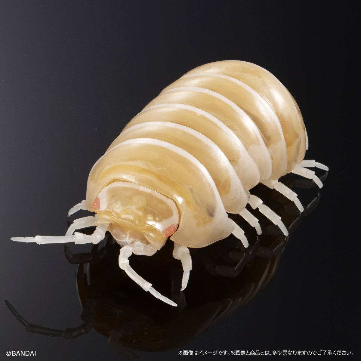 PRE-ORDER Bandai - The Diversity Of Life On Earth Advance Armadillidium Vulgare [Set of 3] [Heavy Paint Version] [EXCLUSIVE]