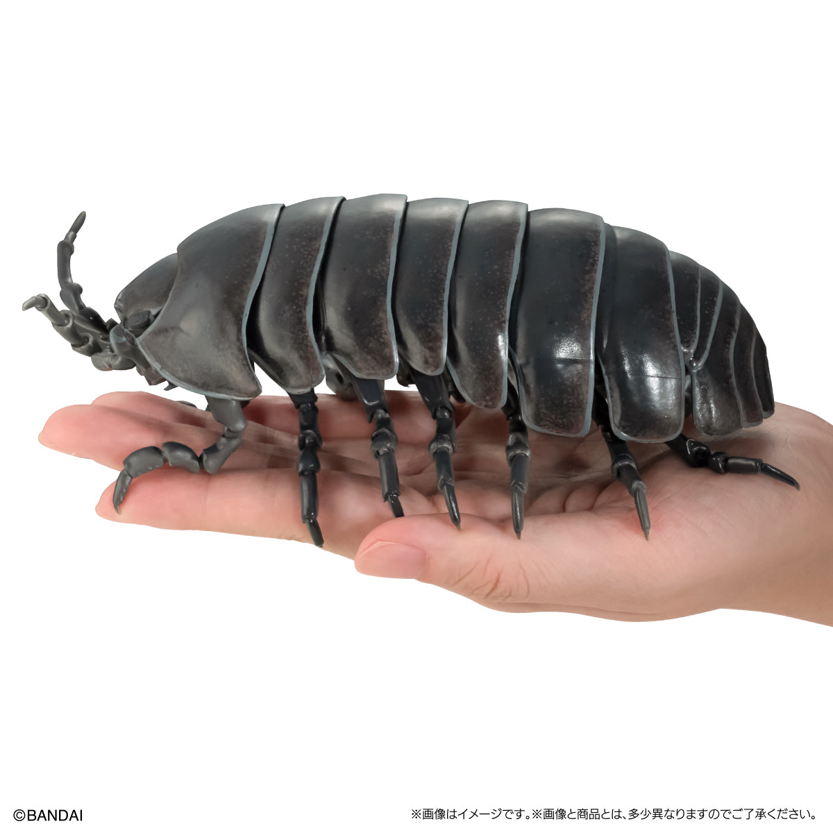 PRE-ORDER Bandai - The Diversity Of Life On Earth Advance Armadillidium Vulgare [Set of 3] [Heavy Paint Version] [EXCLUSIVE]
