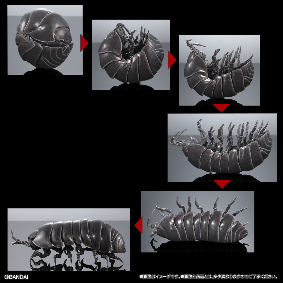 PRE-ORDER Bandai - The Diversity Of Life On Earth Advance Armadillidium Vulgare [Set of 3] [Heavy Paint Version] [EXCLUSIVE]