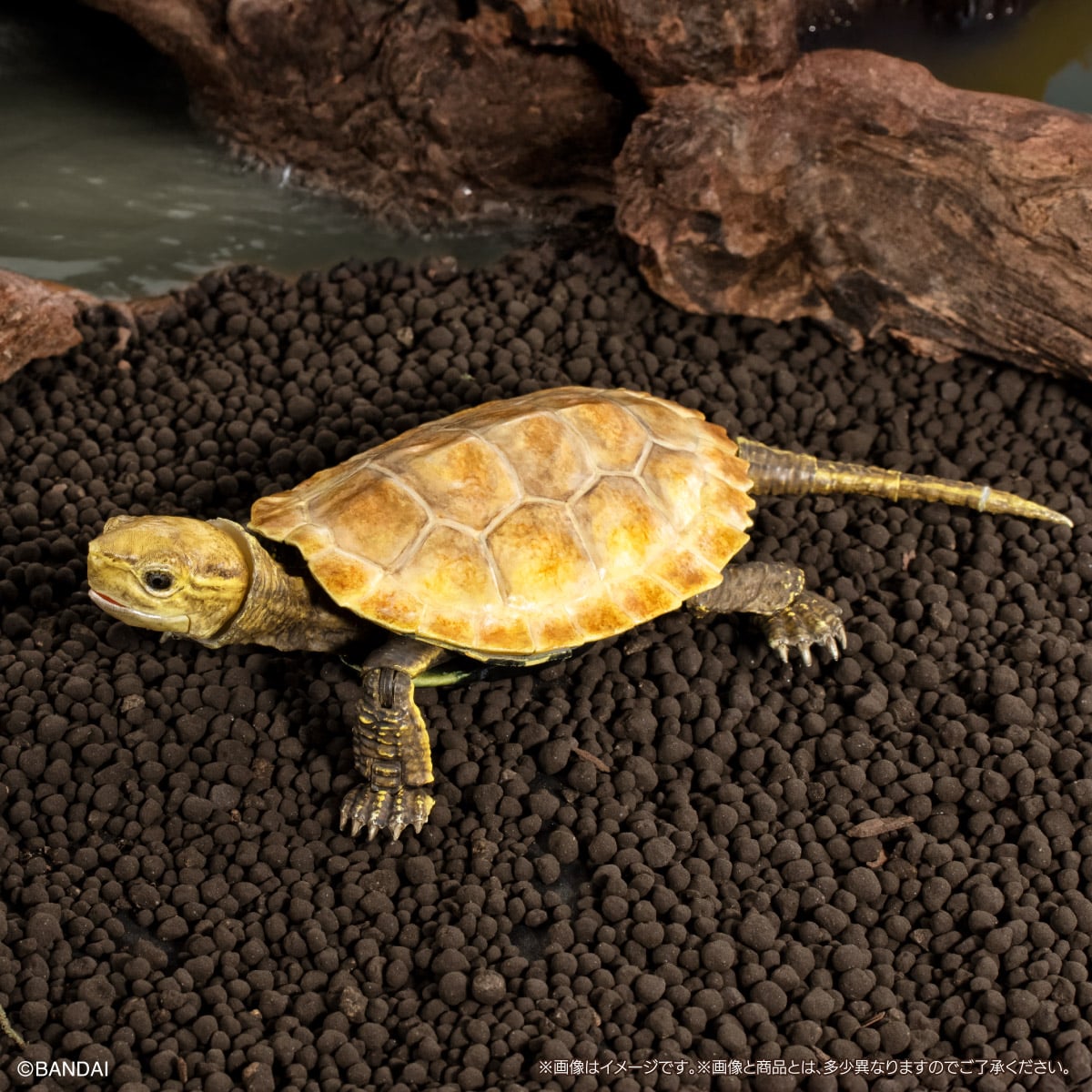 PRE-ORDER Bandai - THE DIVERSITY OF LIFE ON EARTH ADVANCE TURTLE 02 Stone-shaped Special Display Stand Set with Magnet [EXCLUSIVE]