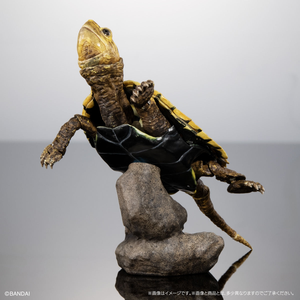 PRE-ORDER Bandai - THE DIVERSITY OF LIFE ON EARTH ADVANCE TURTLE 02 Stone-shaped Special Display Stand Set with Magnet [EXCLUSIVE]