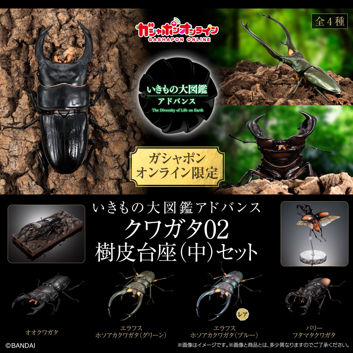 PRE-ORDER Bandai - The Diversity of Life on Earth Advance Stag Beetle 02 Bark Pedestal (Medium) Set [EXCLUSIVE]