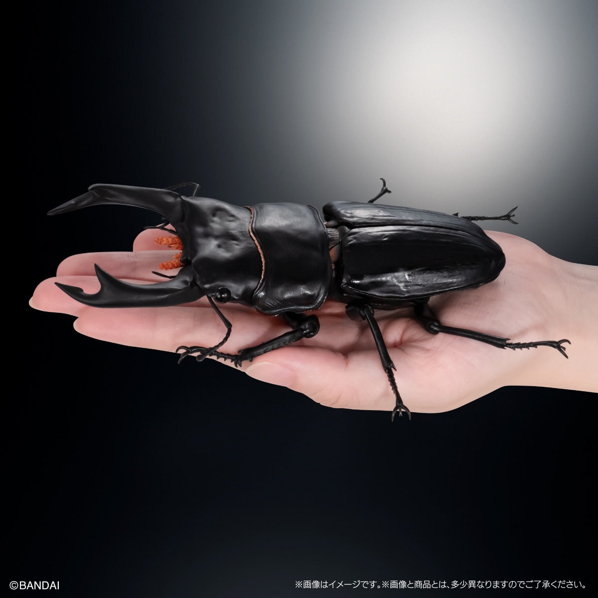 PRE-ORDER Bandai - The Diversity of Life on Earth Advance Stag Beetle 02 Bark Pedestal (Medium) Set [EXCLUSIVE]