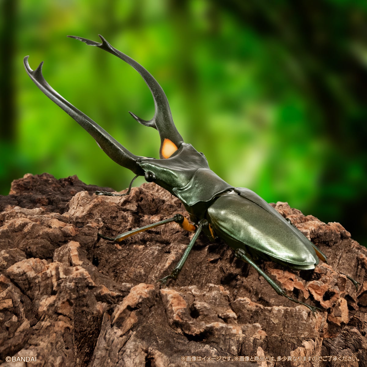 PRE-ORDER Bandai - The Diversity of Life on Earth Advance Stag Beetle 02 Bark Pedestal (Medium) Set [EXCLUSIVE]