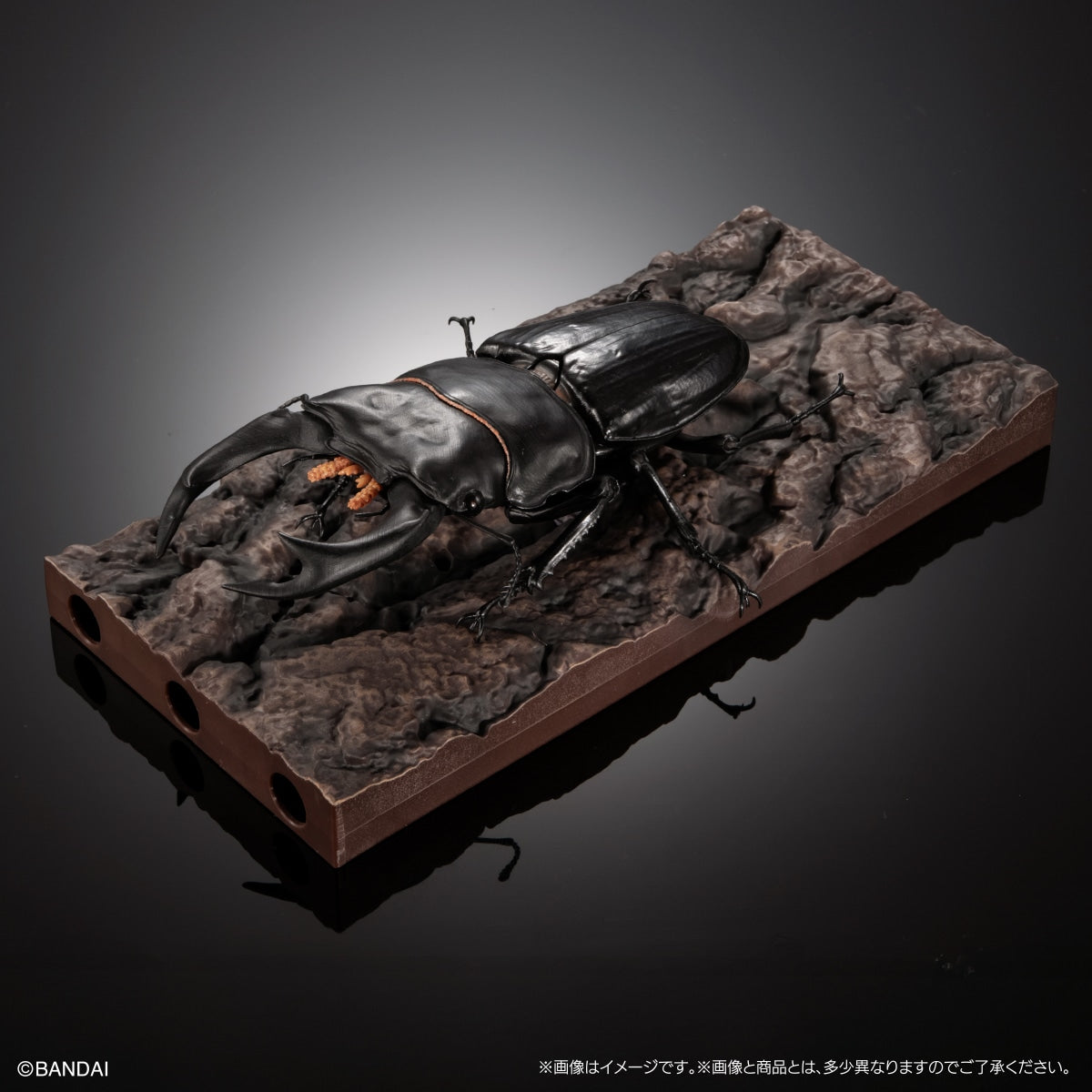 PRE-ORDER Bandai - The Diversity of Life on Earth Advance Stag Beetle 02 Bark Pedestal (Medium) Set [EXCLUSIVE]