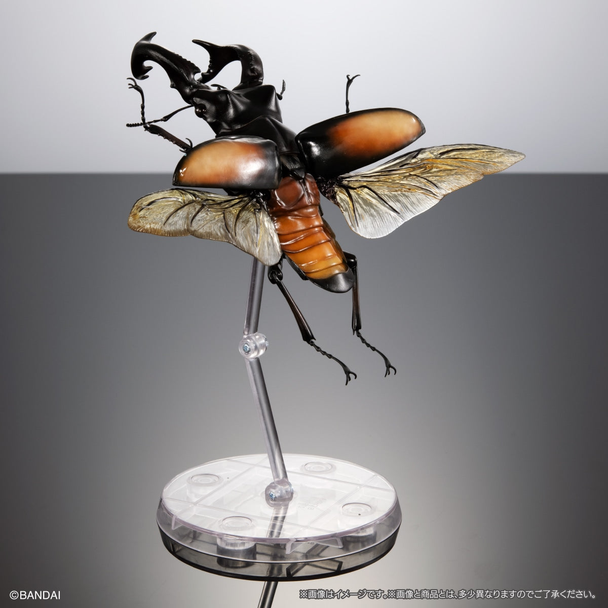 PRE-ORDER Bandai - The Diversity of Life on Earth Advance Stag Beetle 02 Bark Pedestal (Medium) Set [EXCLUSIVE]