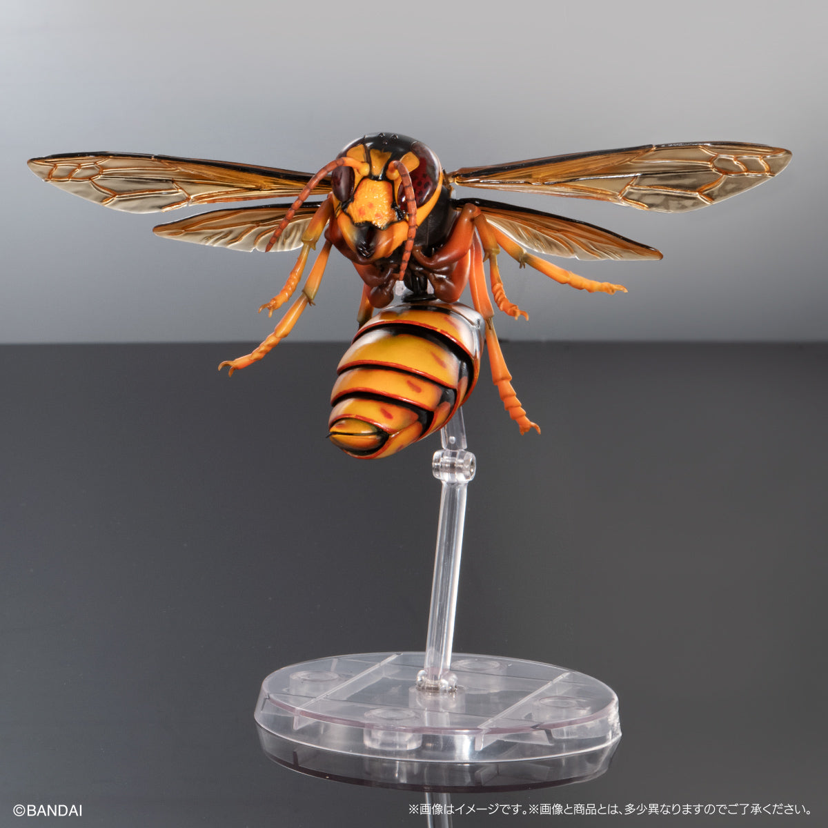 PRE-ORDER Bandai - The Diversity of Life on Earth - Wasp 02 Megala Garuda Display Stand Set [EXCLUSIVE]