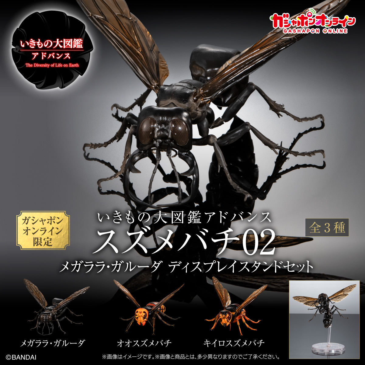 PRE-ORDER Bandai - The Diversity of Life on Earth - Wasp 02 Megala Garuda Display Stand Set [EXCLUSIVE]