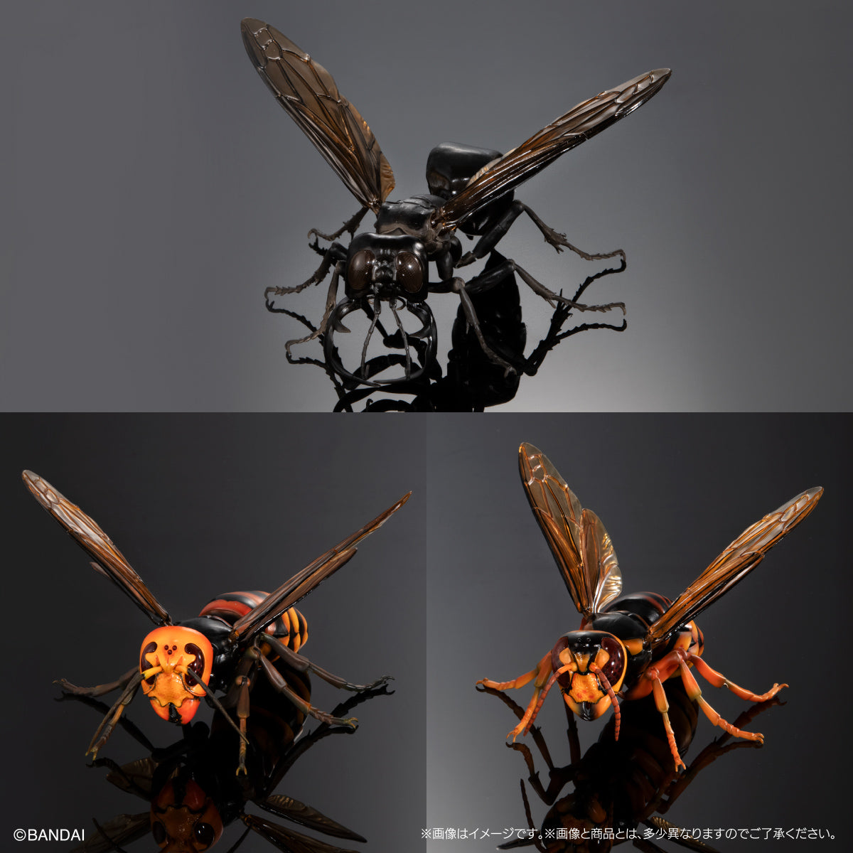 PRE-ORDER Bandai - The Diversity of Life on Earth - Wasp 02 Megala Garuda Display Stand Set [EXCLUSIVE]