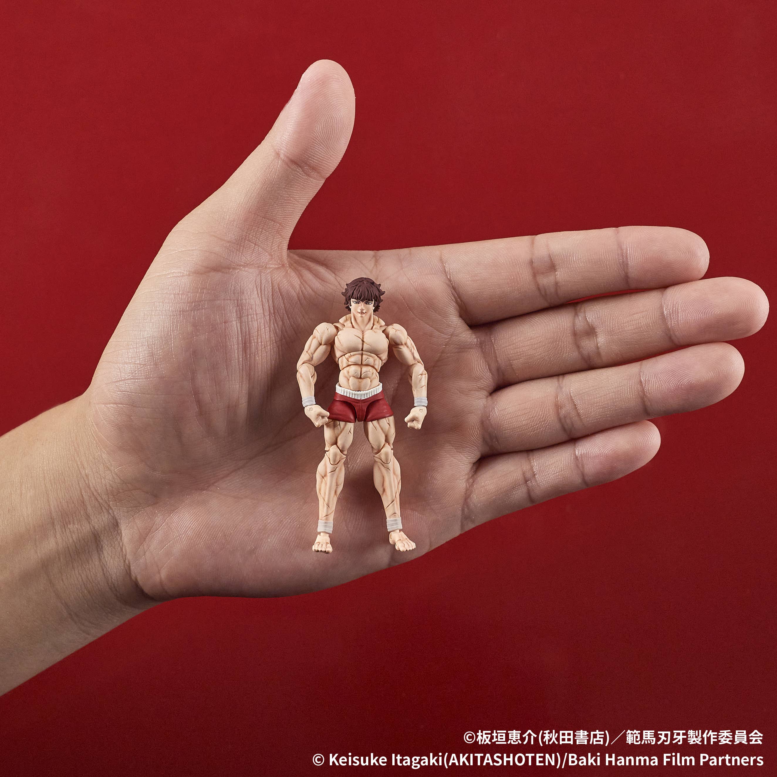 PRE-ORDER DIG - DIGACTION - Baki Hanma - Baki Hanma 1/24
