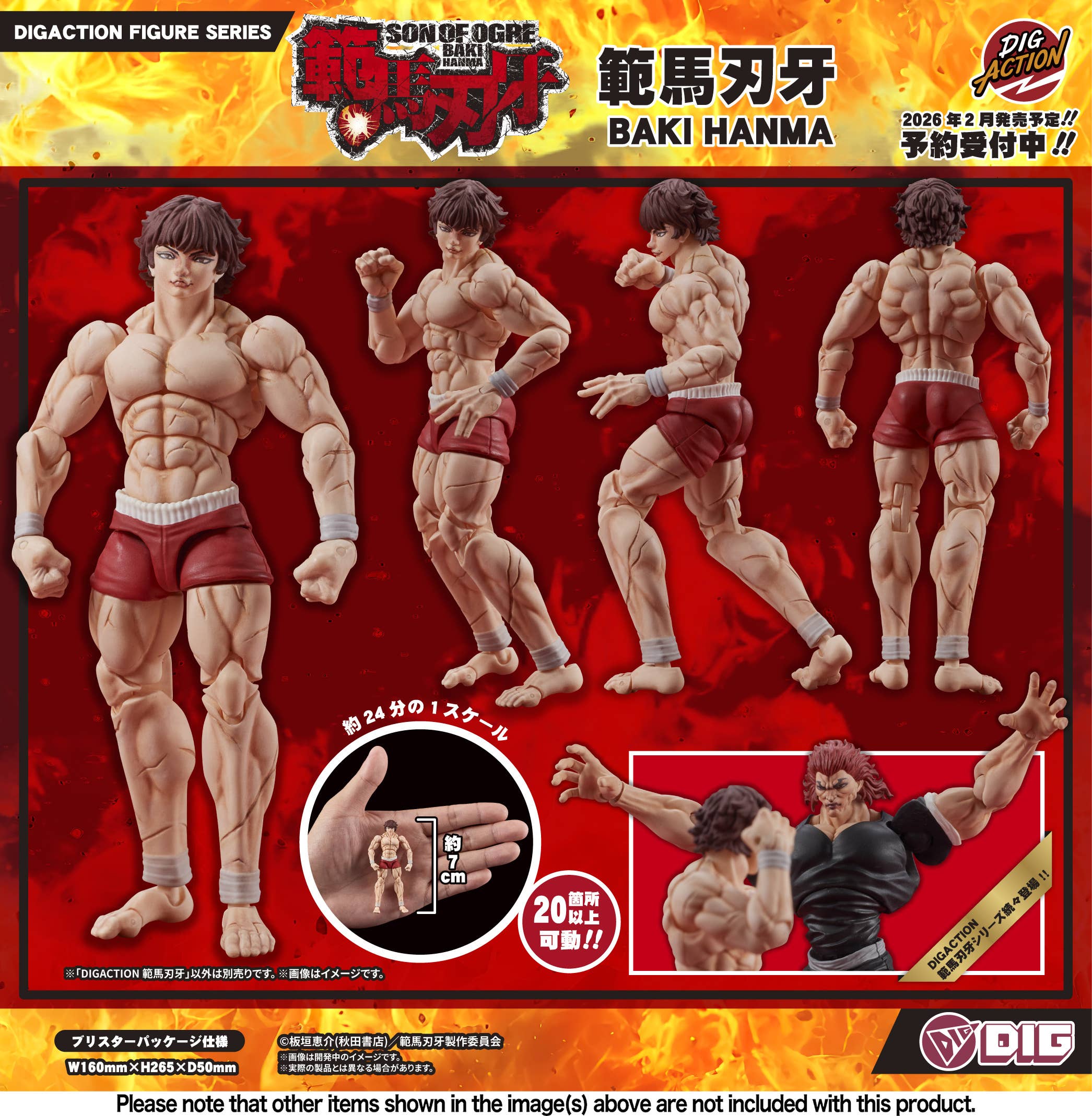 PRE-ORDER DIG - DIGACTION - Baki Hanma - Baki Hanma 1/24