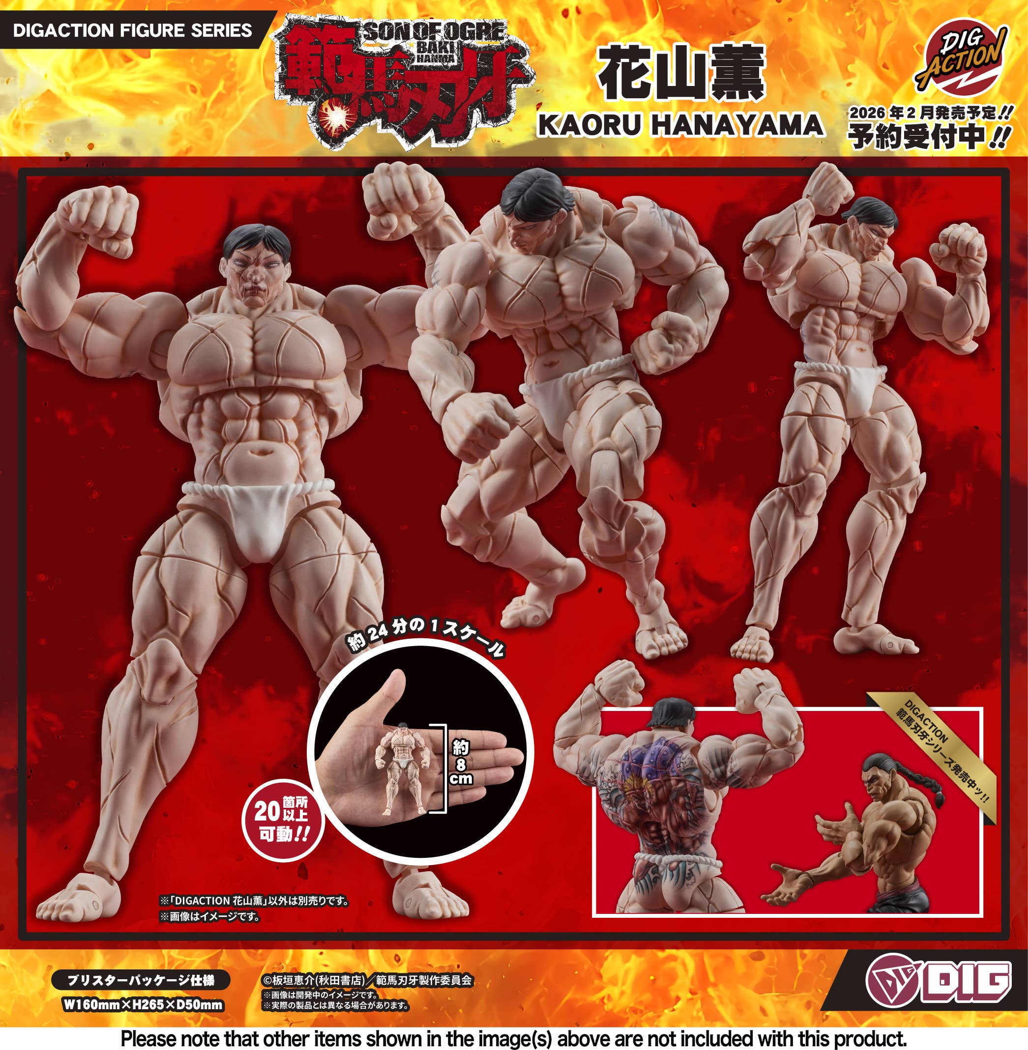 PRE-ORDER DIG - DIGACTION - Baki Hanma- Kaoru Hanayama 1/24