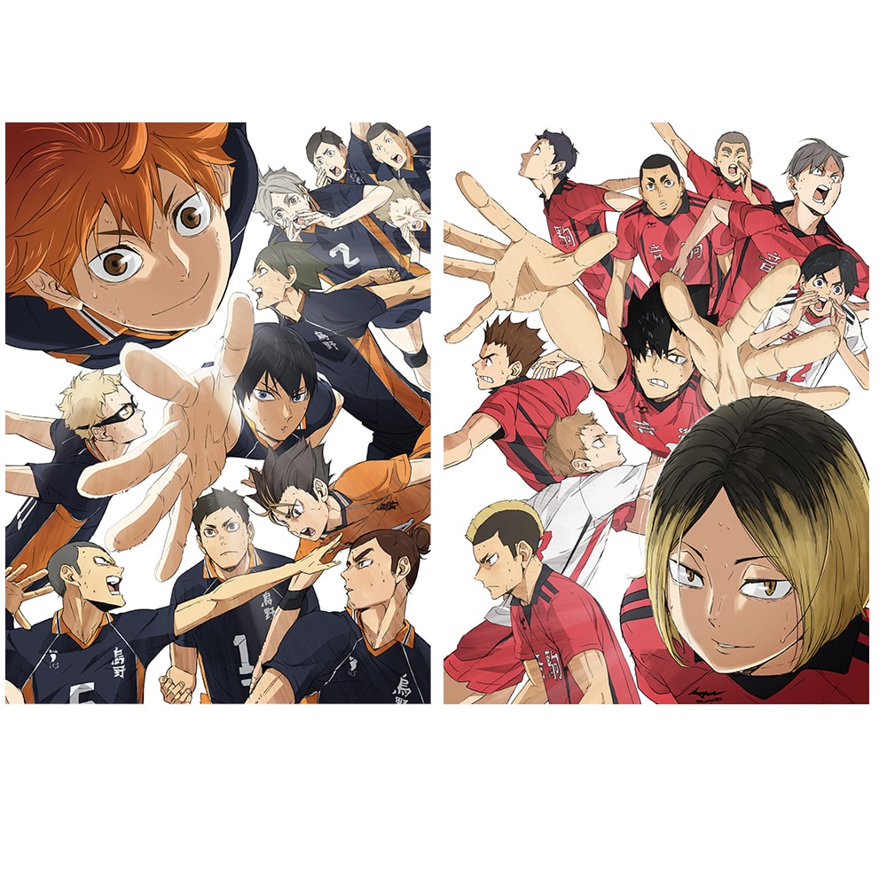 SPECIAL ORDER TOHO - Haikyu!! The Movie: Battle at the Dump DVD Deluxe Edition [JP]