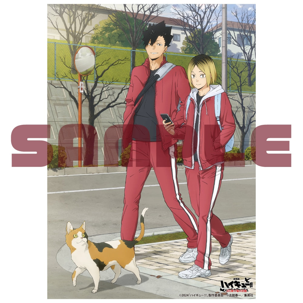 SPECIAL ORDER TOHO - Haikyu!! The Movie: Battle at the Dump DVD Deluxe Edition [JP]