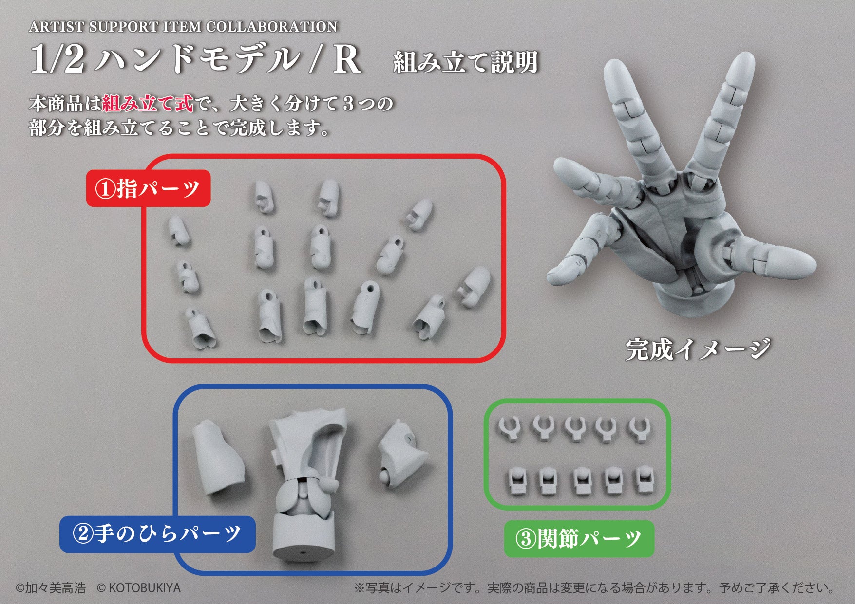 SPECIAL ORDER So-Ta - ARTIST SUPPORT ITEM COLLABORATION 1/2 Hand Model / R [Set of 2] [JP]
