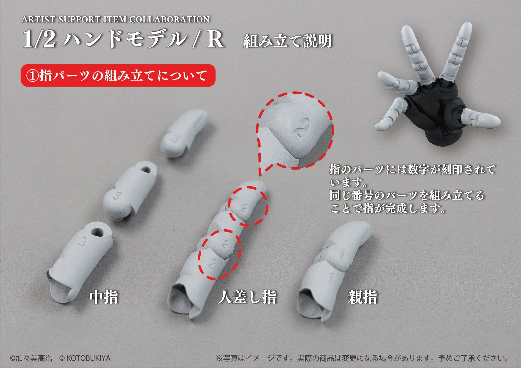 SPECIAL ORDER So-Ta - ARTIST SUPPORT ITEM COLLABORATION 1/2 Hand Model / R [Set of 2] [JP]