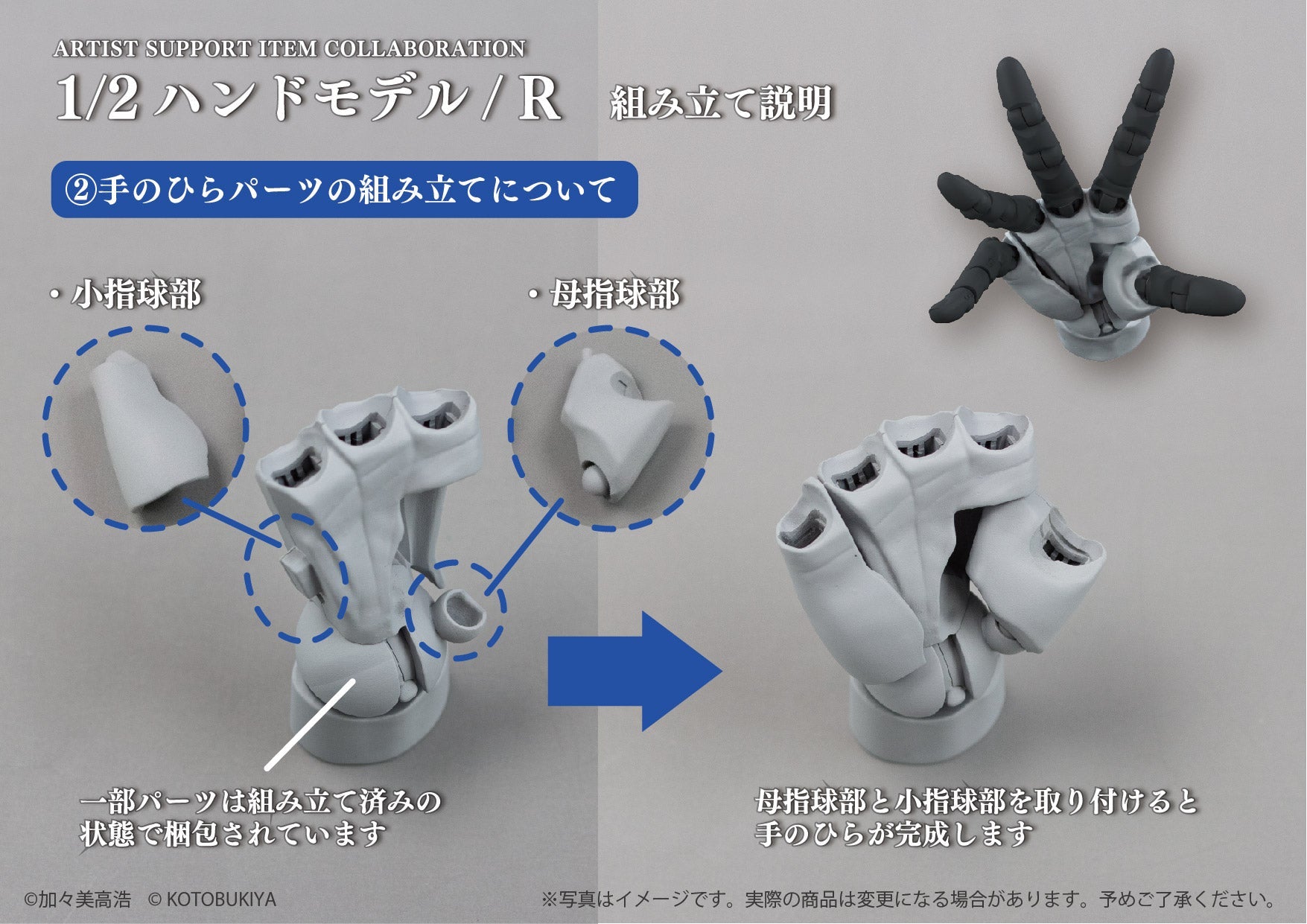 SPECIAL ORDER So-Ta - ARTIST SUPPORT ITEM COLLABORATION 1/2 Hand Model / R [Set of 2] [JP]