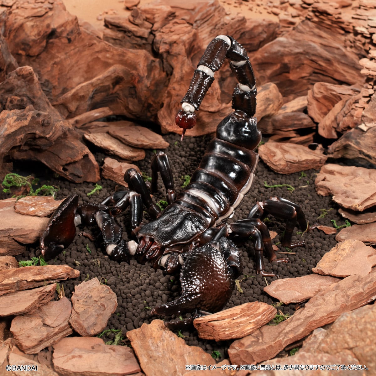 SPECIAL ORDER Bandai - The Diversity of Life on Earth Premium: The Emperor Scorpion [JP]