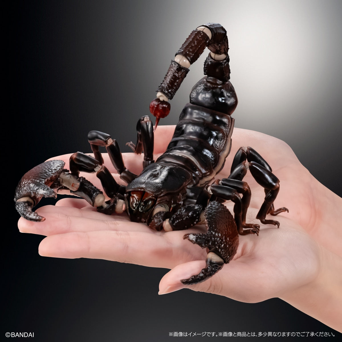 SPECIAL ORDER Bandai - The Diversity of Life on Earth Premium: The Emperor Scorpion [JP]