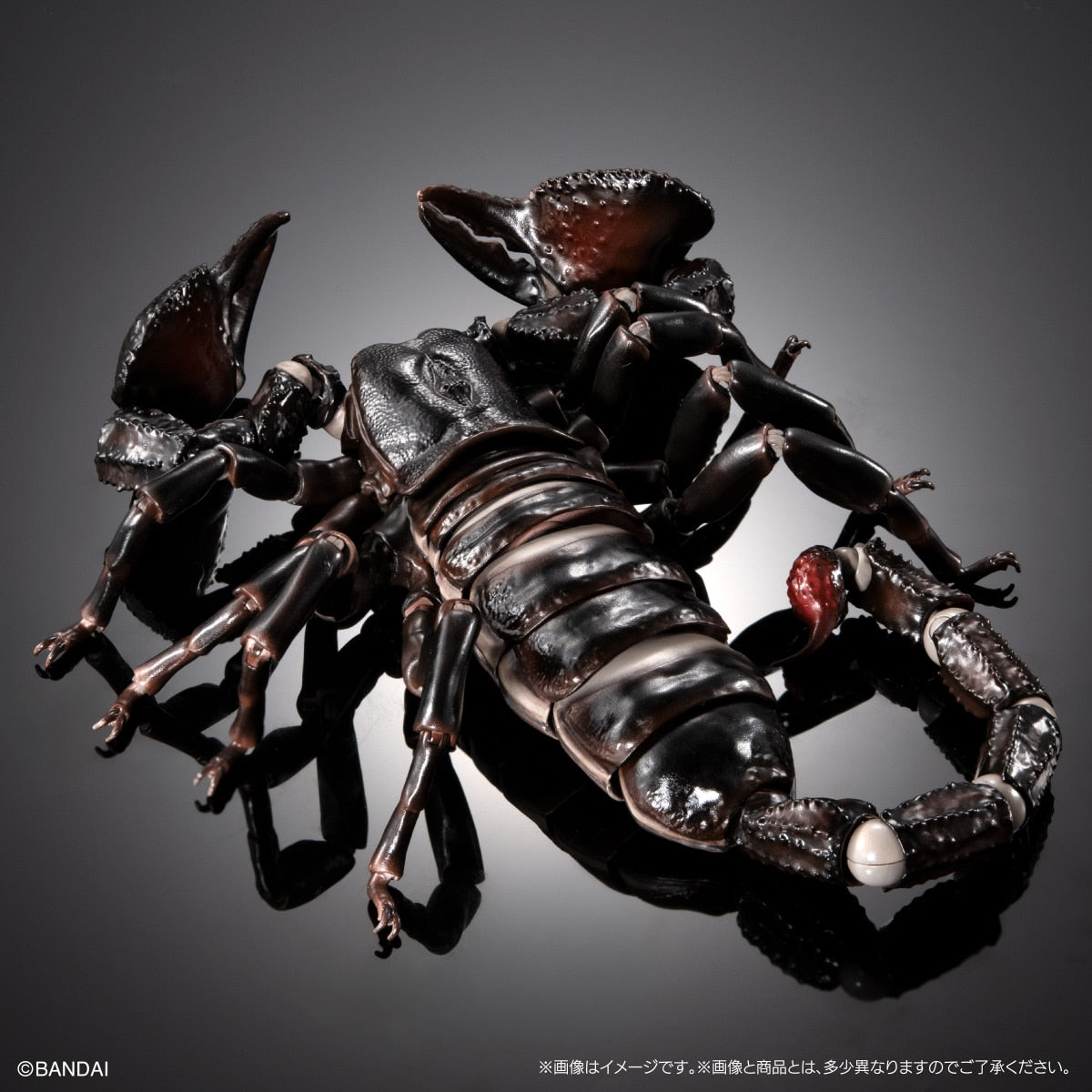 SPECIAL ORDER Bandai - The Diversity of Life on Earth Premium: The Emperor Scorpion [JP]