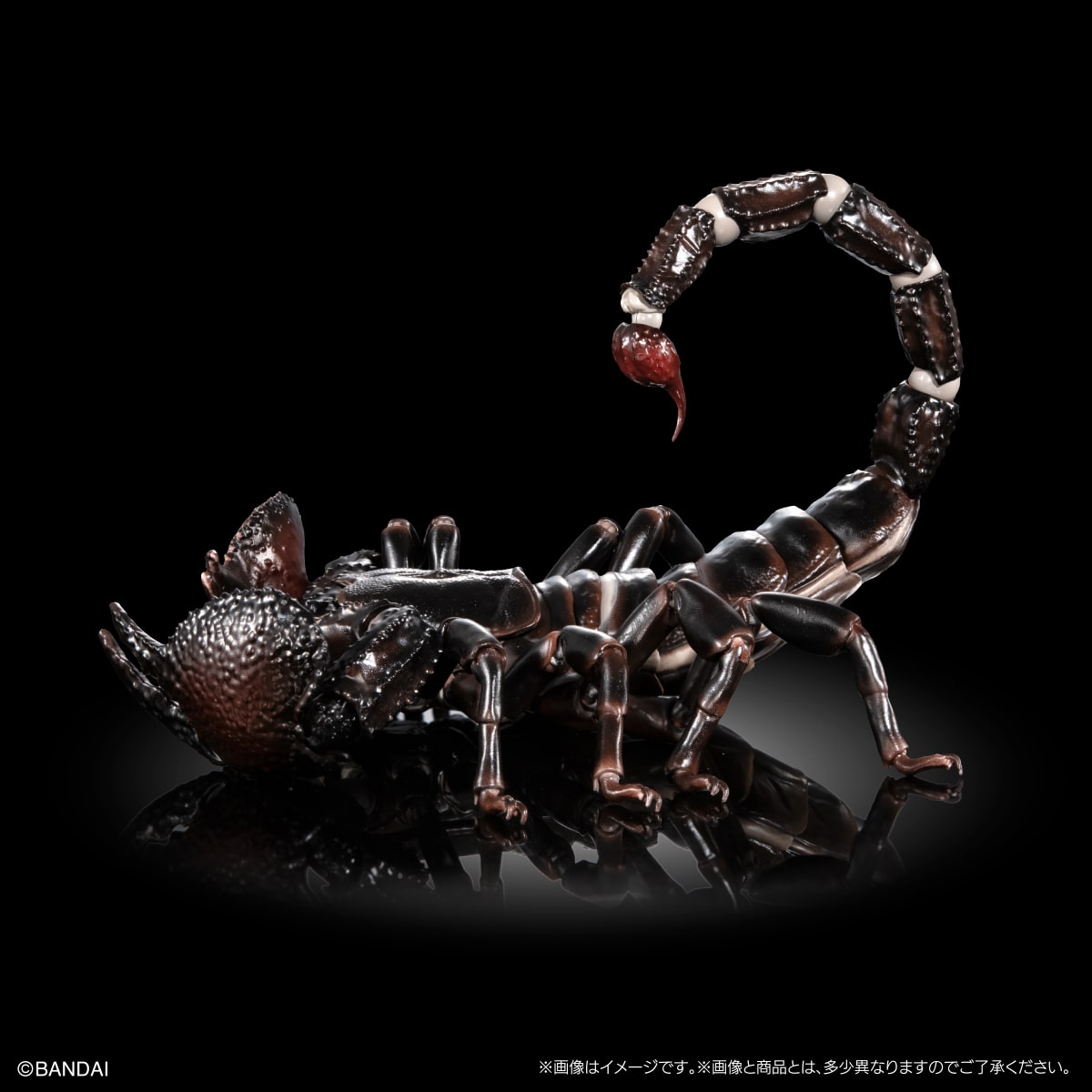 SPECIAL ORDER Bandai - The Diversity of Life on Earth Premium: The Emperor Scorpion [JP]
