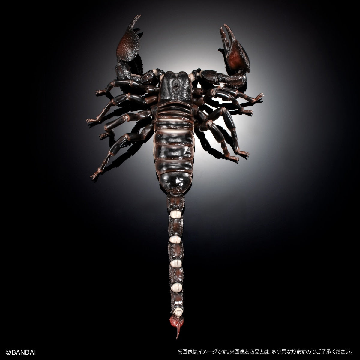 SPECIAL ORDER Bandai - The Diversity of Life on Earth Premium: The Emperor Scorpion [JP]