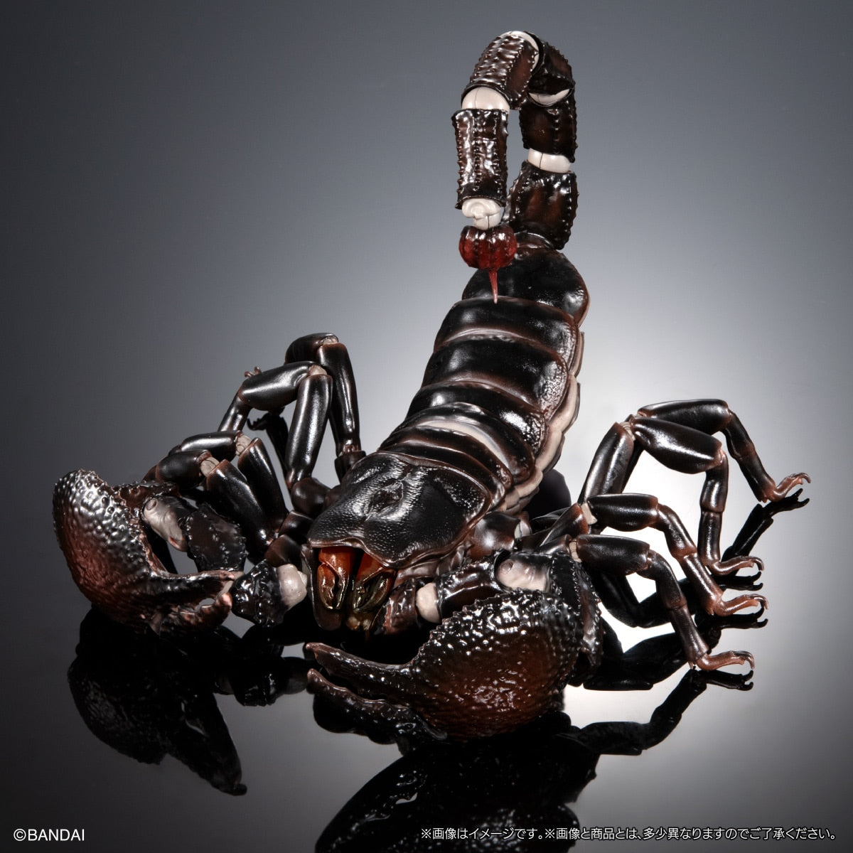 SPECIAL ORDER Bandai - The Diversity of Life on Earth Premium: The Emperor Scorpion [JP]