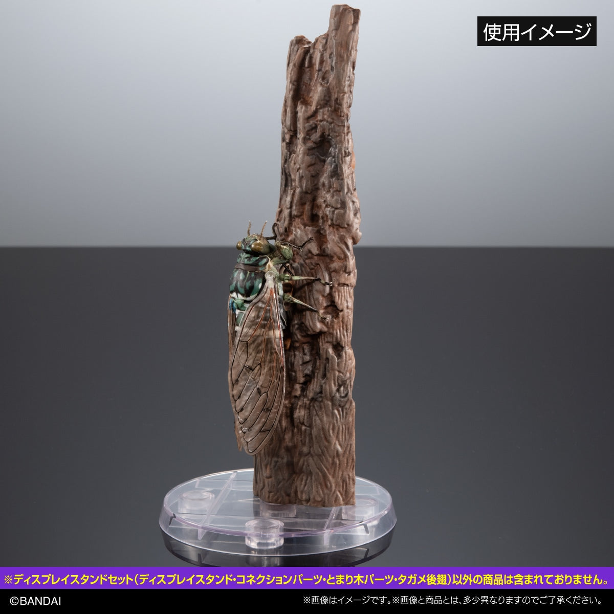 SPECIAL ORDER Bandai - The Diversity of Life on Earth - Display Stand Set - Perch Parts and Giant Water Bug Hind Wings [JP] [EXCLUSIVE]