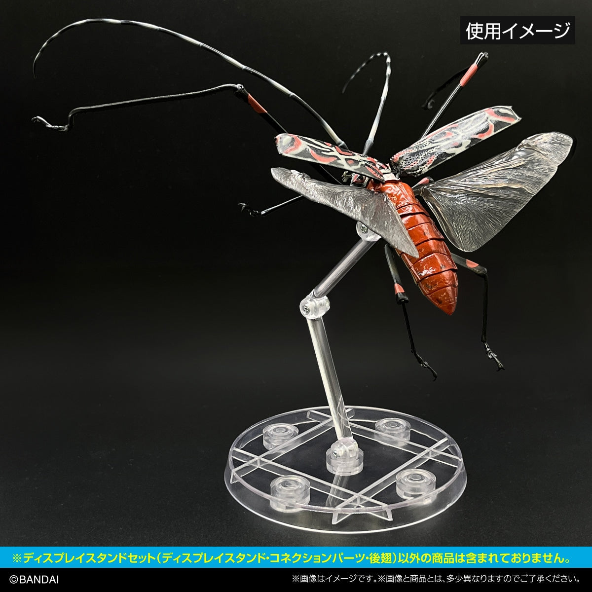 SPECIAL ORDER Bandai - The Diversity of Life on Earth - Display Stand Set - Grasshopper &amp; Longhorn Beetle Hind Wings[JP] [EXCLUSIVE]