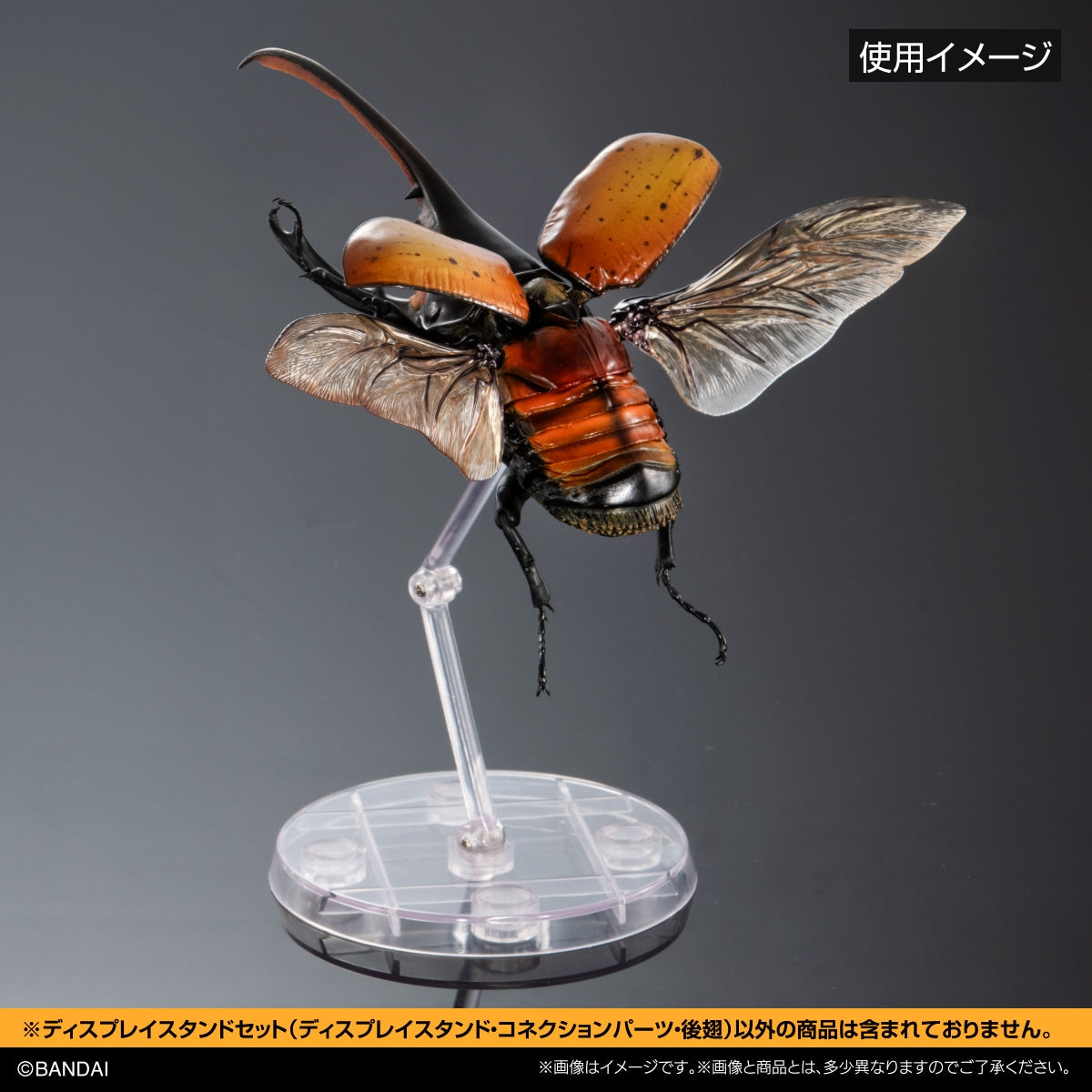 SPECIAL ORDER Bandai - The Diversity of Life on Earth - Display Stand Set - Hercules Beetle Hind Wings [JP] [EXCLUSIVE]