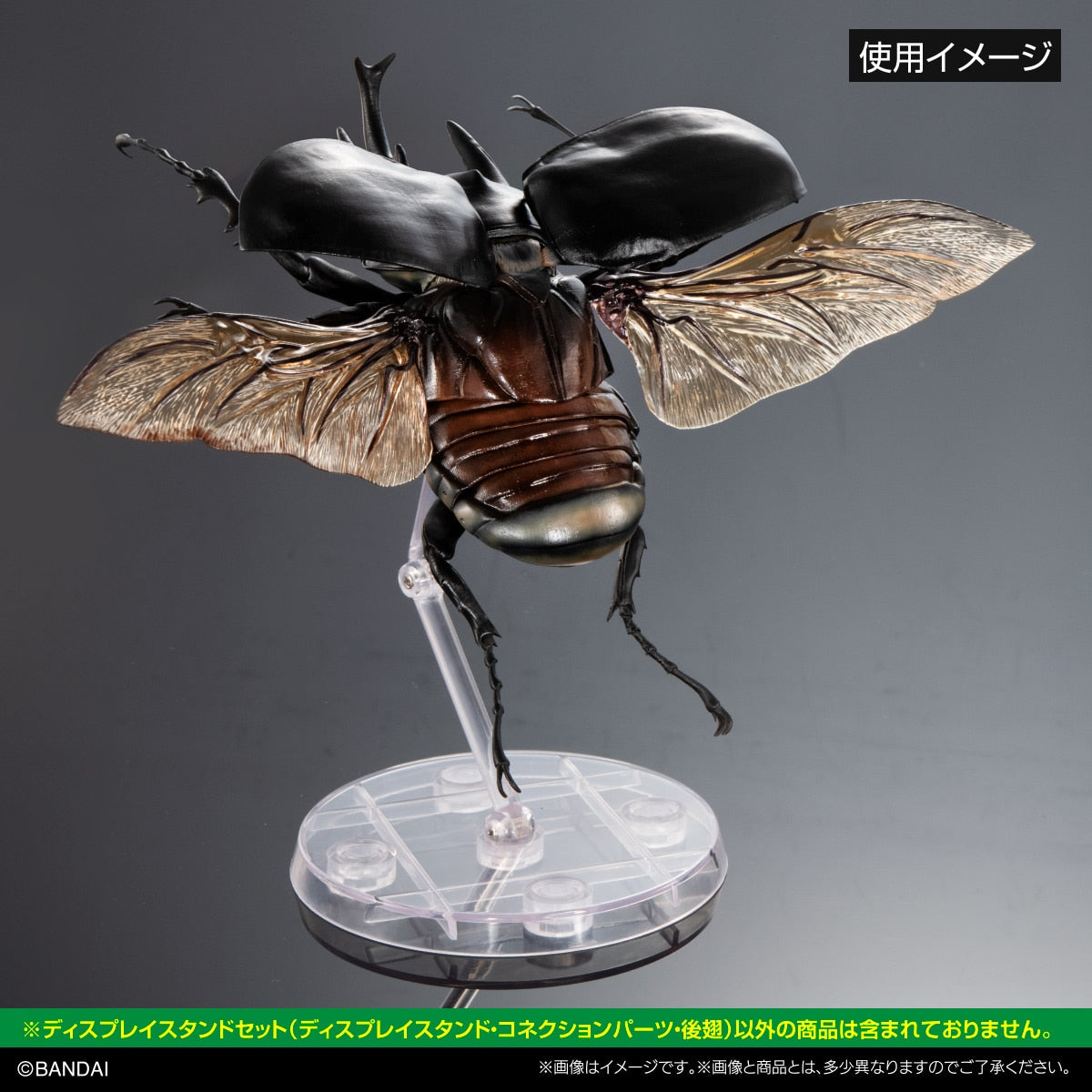 SPECIAL ORDER Bandai - The Diversity of Life on Earth - Display Stand Set - Elephant Beetle Hind Wings [JP] [EXCLUSIVE]