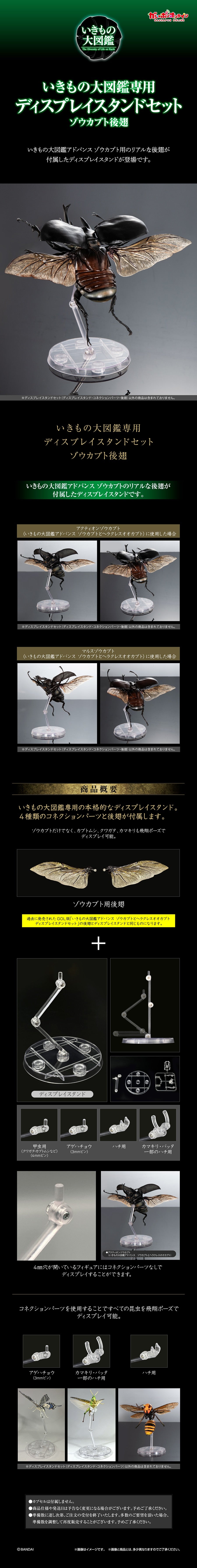 SPECIAL ORDER Bandai - The Diversity of Life on Earth - Display Stand Set - Elephant Beetle Hind Wings [JP] [EXCLUSIVE]