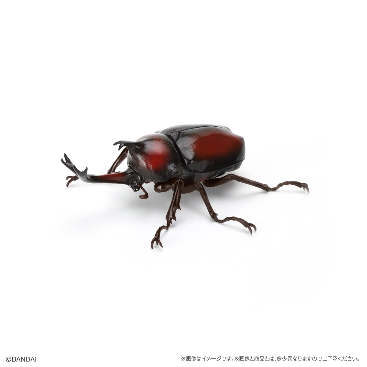 PRE-ORDER Bandai - The Diversity of Life on Earth - Rhinocerus Beetle 09 Perch Pedestal Set [EXCLUSIVE]