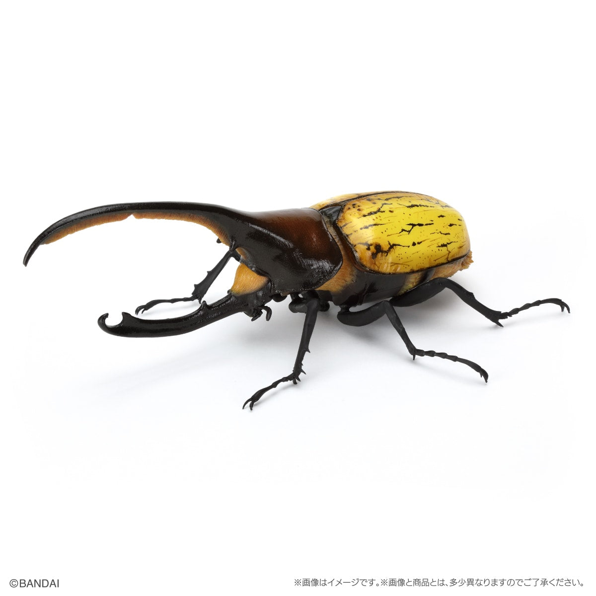 PRE-ORDER Bandai - The Diversity of Life on Earth - Rhinocerus Beetle 09 Perch Pedestal Set [EXCLUSIVE]
