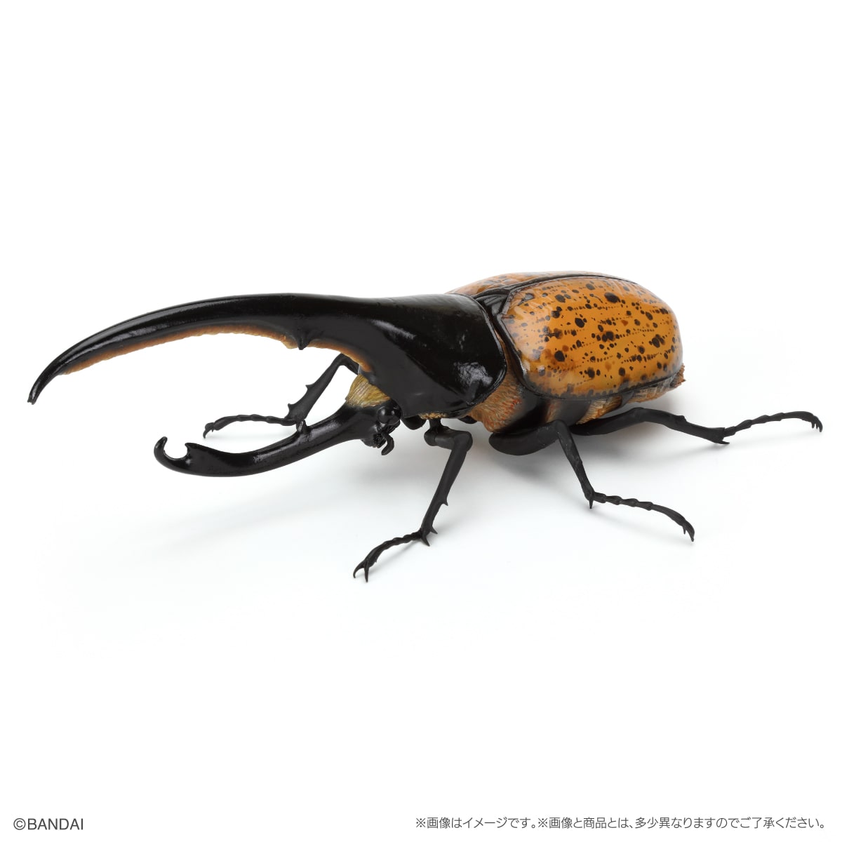 PRE-ORDER Bandai - The Diversity of Life on Earth - Rhinocerus Beetle 09 Perch Pedestal Set [EXCLUSIVE]
