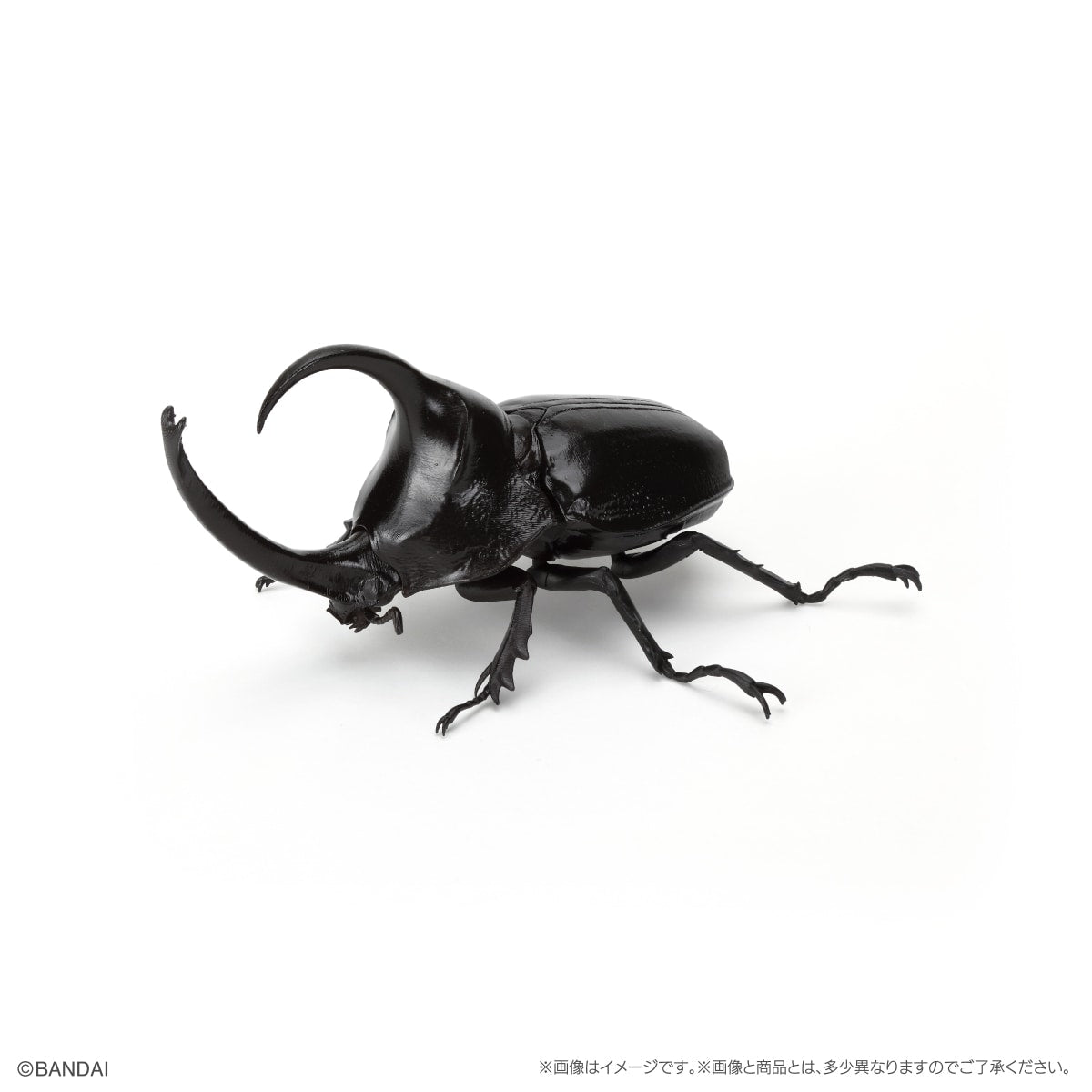 PRE-ORDER Bandai - The Diversity of Life on Earth - Rhinocerus Beetle 09 Perch Pedestal Set [EXCLUSIVE]