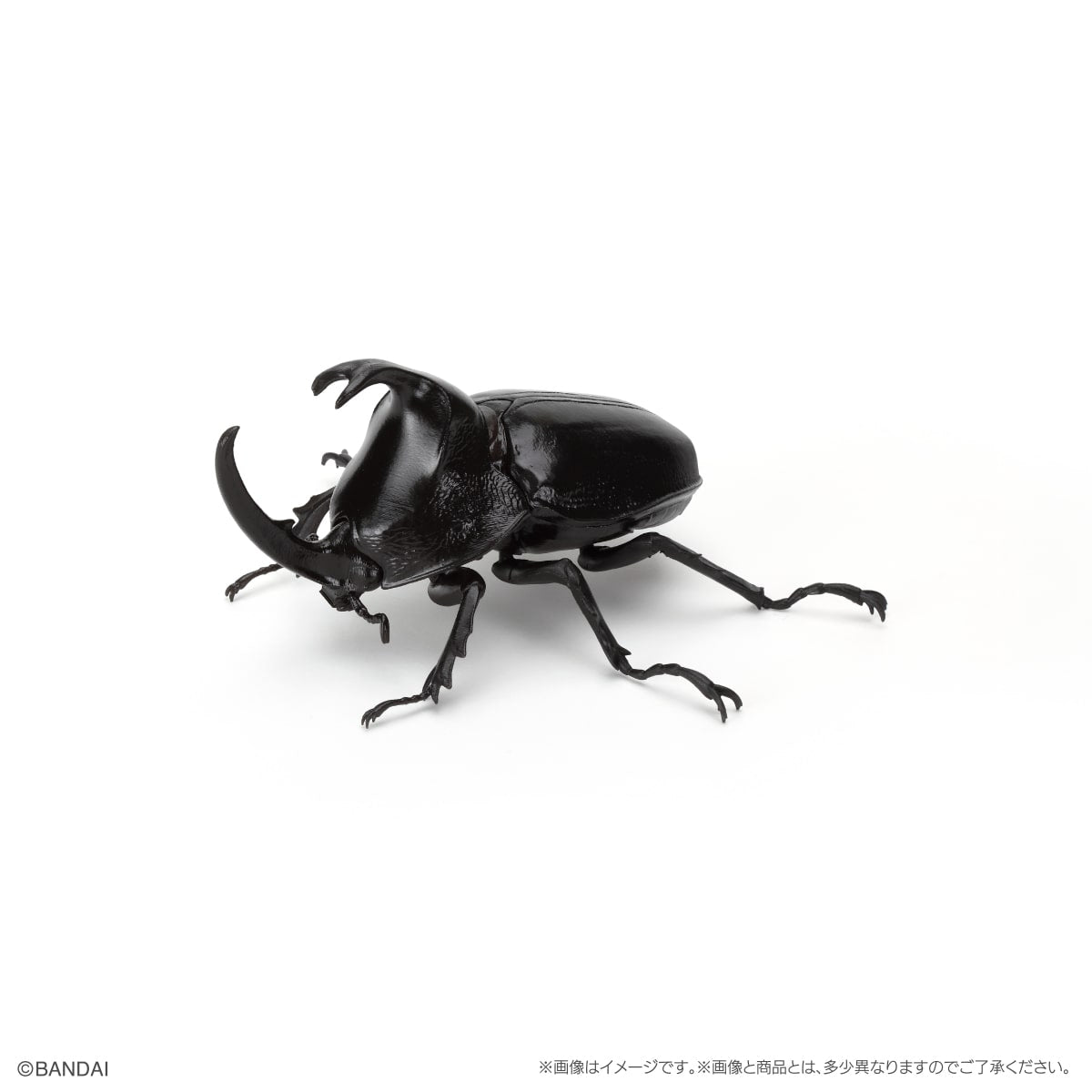 PRE-ORDER Bandai - The Diversity of Life on Earth - Rhinocerus Beetle 09 Perch Pedestal Set [EXCLUSIVE]