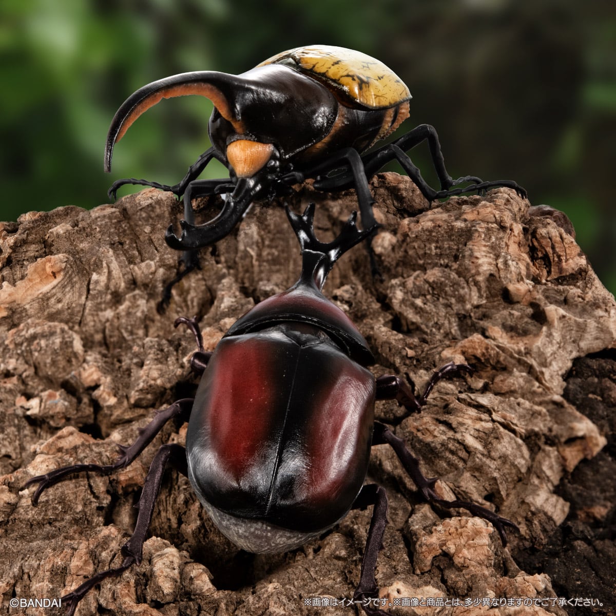 PRE-ORDER Bandai - The Diversity of Life on Earth - Rhinocerus Beetle 09 Perch Pedestal Set [EXCLUSIVE]