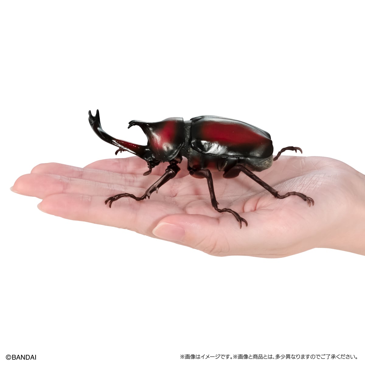 PRE-ORDER Bandai - The Diversity of Life on Earth - Rhinocerus Beetle 09 Perch Pedestal Set [EXCLUSIVE]