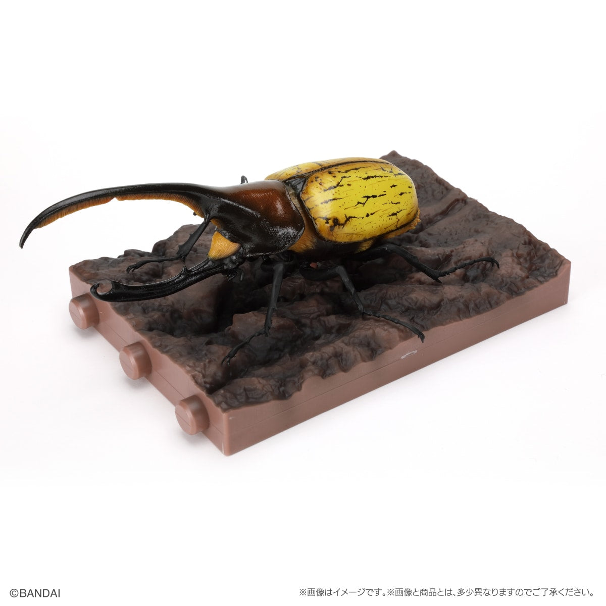 PRE-ORDER Bandai - The Diversity of Life on Earth - Rhinocerus Beetle 09 Perch Pedestal Set [EXCLUSIVE]