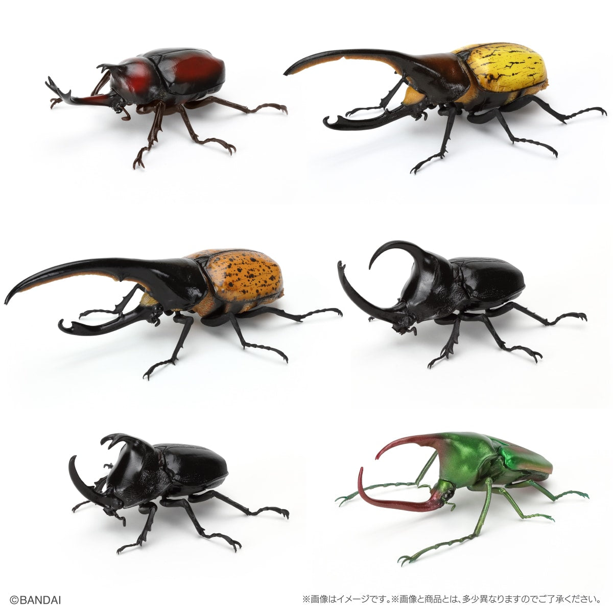 PRE-ORDER Bandai - The Diversity of Life on Earth - Rhinocerus Beetle 09 Perch Pedestal Set [EXCLUSIVE]