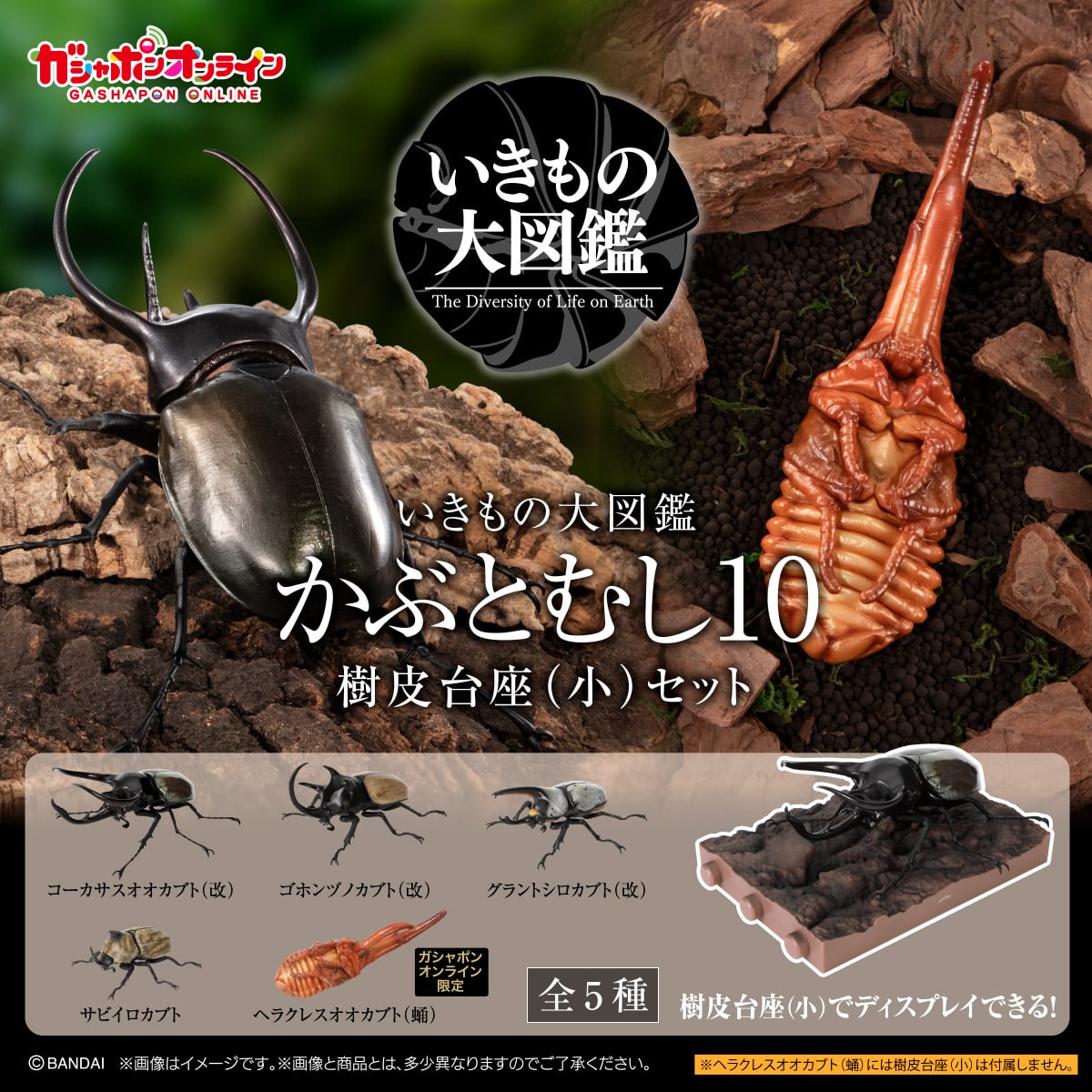 PRE-ORDER Bandai - The Diversity of Life on Earth - Beetle (Kabuto Mushi) 10 Bark Pedestal (Small) Set [Gashapon Online EXCLUSIVE]