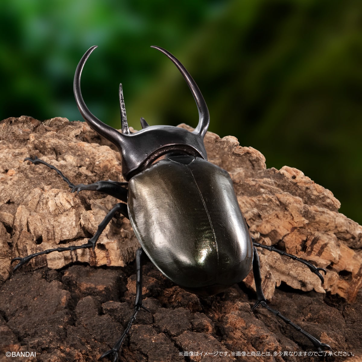 PRE-ORDER Bandai - The Diversity of Life on Earth - Beetle (Kabuto Mushi) 10 Bark Pedestal (Small) Set [Gashapon Online EXCLUSIVE]